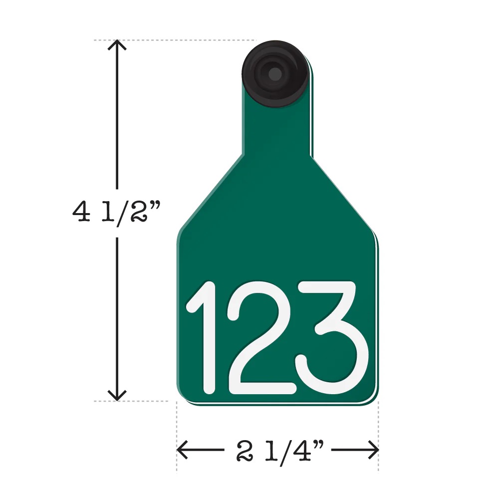 Medium tags